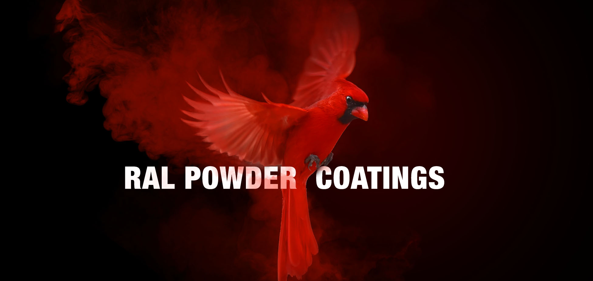 SHOP CARDINAL PAINT